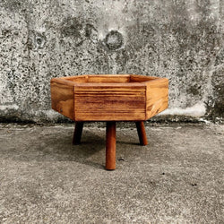 Couple Hexagonal Planter Making Workshop