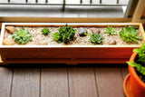 Succulent Table Planter