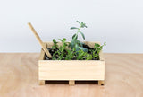Wooden Planter Boxes