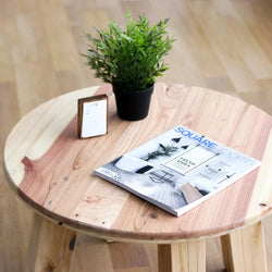 Minimalist Round Coffee Table