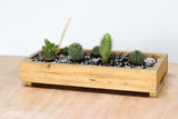 Wooden Planter Boxes