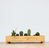 Wooden Planter Boxes