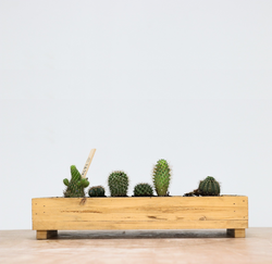 Wooden Planter Boxes
