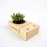 Reclaimed Pinewood 3-in-1 Planter - tripleeyelid
 - 3