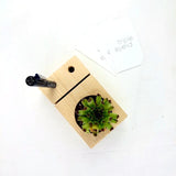 Reclaimed Pinewood 3-in-1 Planter - tripleeyelid
 - 2